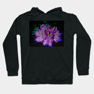 Large flowers Hoodie